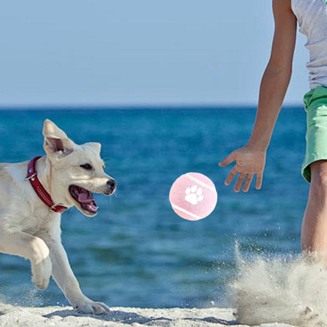 Dog Toys - 3-pack - Dog Puzzle - Interactive - sturdy elastic felt dog balls for retrieving - interactive dog toy