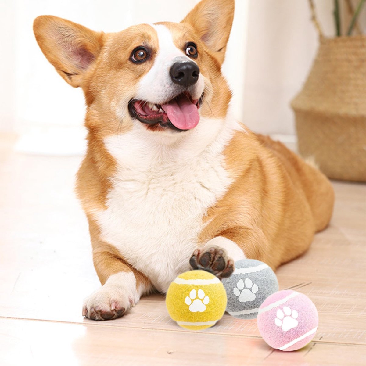 Dog Toys - 3-pack - Dog Puzzle - Interactive - sturdy elastic felt dog balls for retrieving - interactive dog toy
