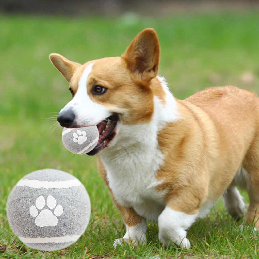 Dog Toys - 3-pack - Dog Puzzle - Interactive - sturdy elastic felt dog balls for retrieving - interactive dog toy