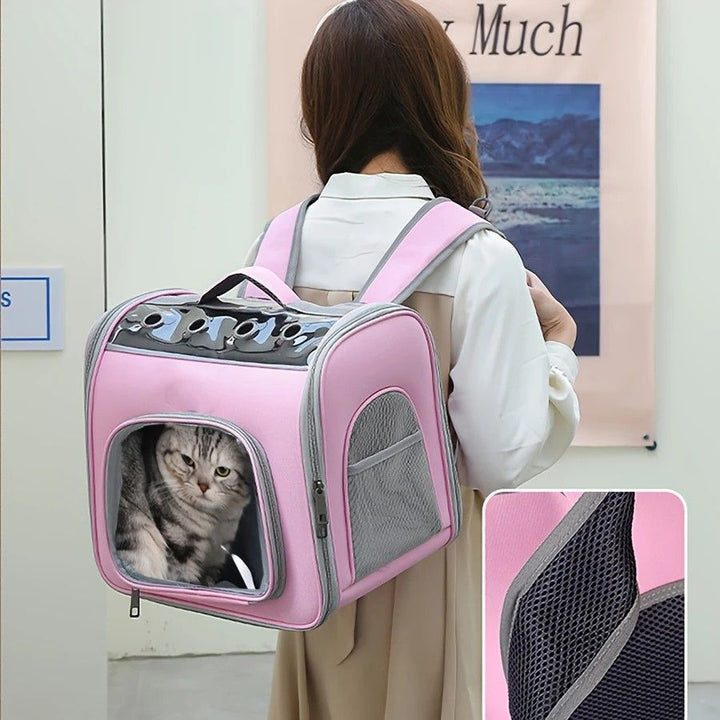 Pet Backpack Portable Transparent Foldable Comfort Design Hands-Free Travel for Cats Small Dogs(PINK)