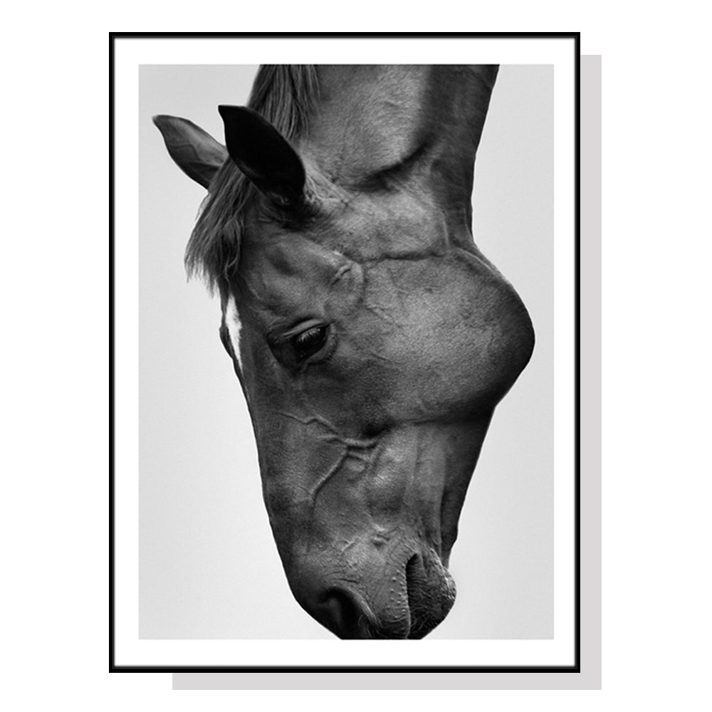Wall Art 60cmx90cm Modern Black Horse Black Frame Canvas - VogueDecor.au