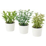 3 Pack of Artificial Herb Potted Plants in White Plastic 5cm Pot Interior Decoration - VogueDecor.au
