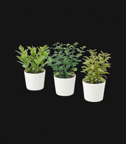 3 Pack of Artificial Herb Potted Plants in White Plastic 5cm Pot Interior Decoration - VogueDecor.au