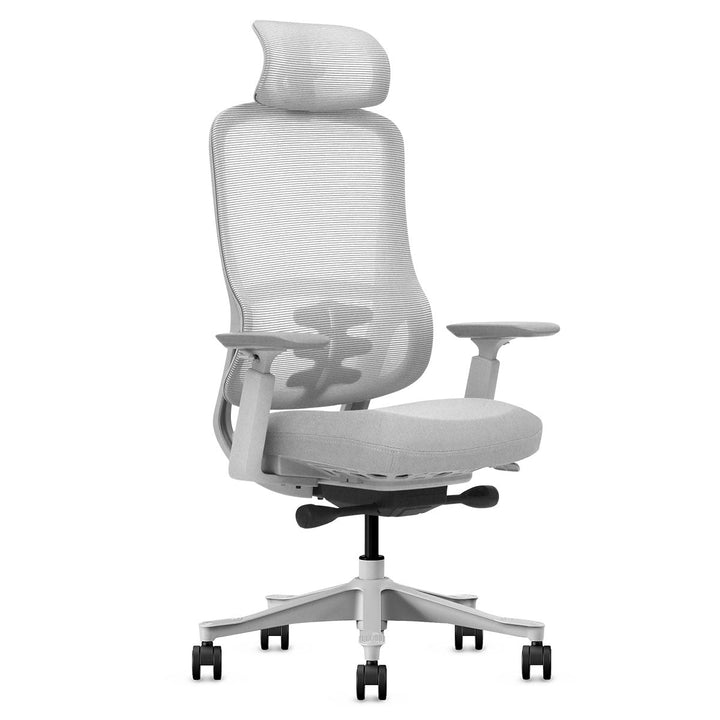 Lifespan Fitness DM8 Ergonomic Office Desk Chair (White/Grey)