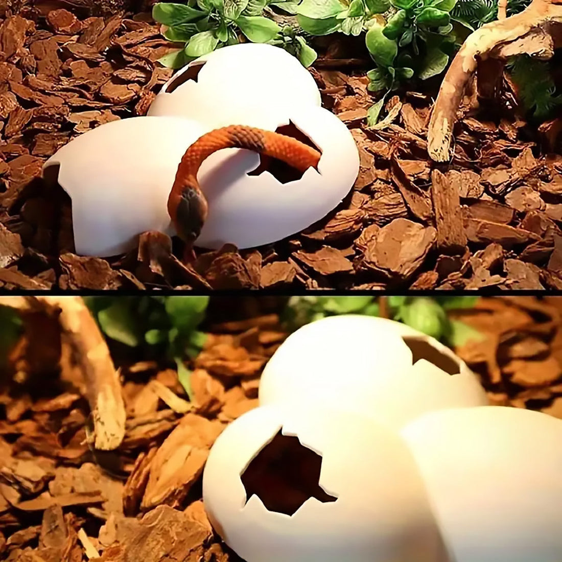 Reptile Hideout Plastic Cave Decorative Shelter for Lizard Snake Spider Habitat - Tree Pattern Set of 2