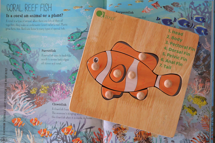 Montessori Fish Knob Puzzle