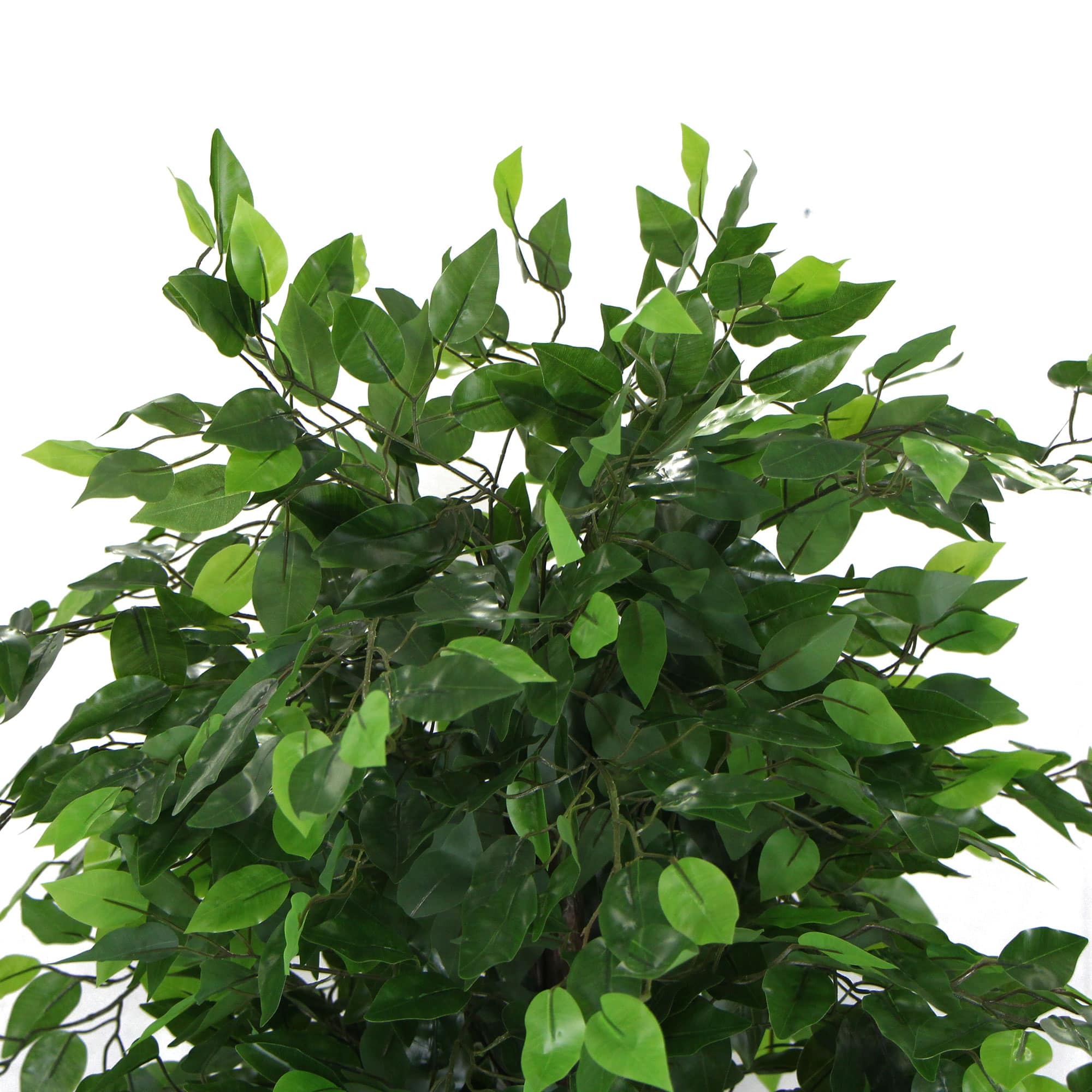 Artificial Ficus Tree 180cm Nearly Natural UV Resistant - VogueDecor.au