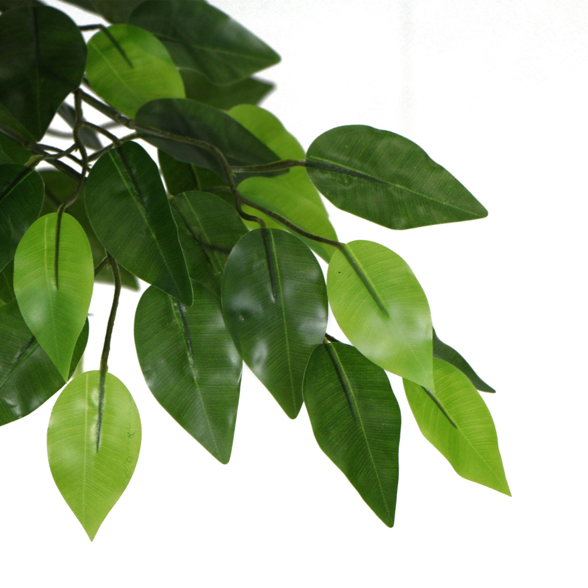 Artificial Ficus Tree 180cm Nearly Natural UV Resistant - VogueDecor.au