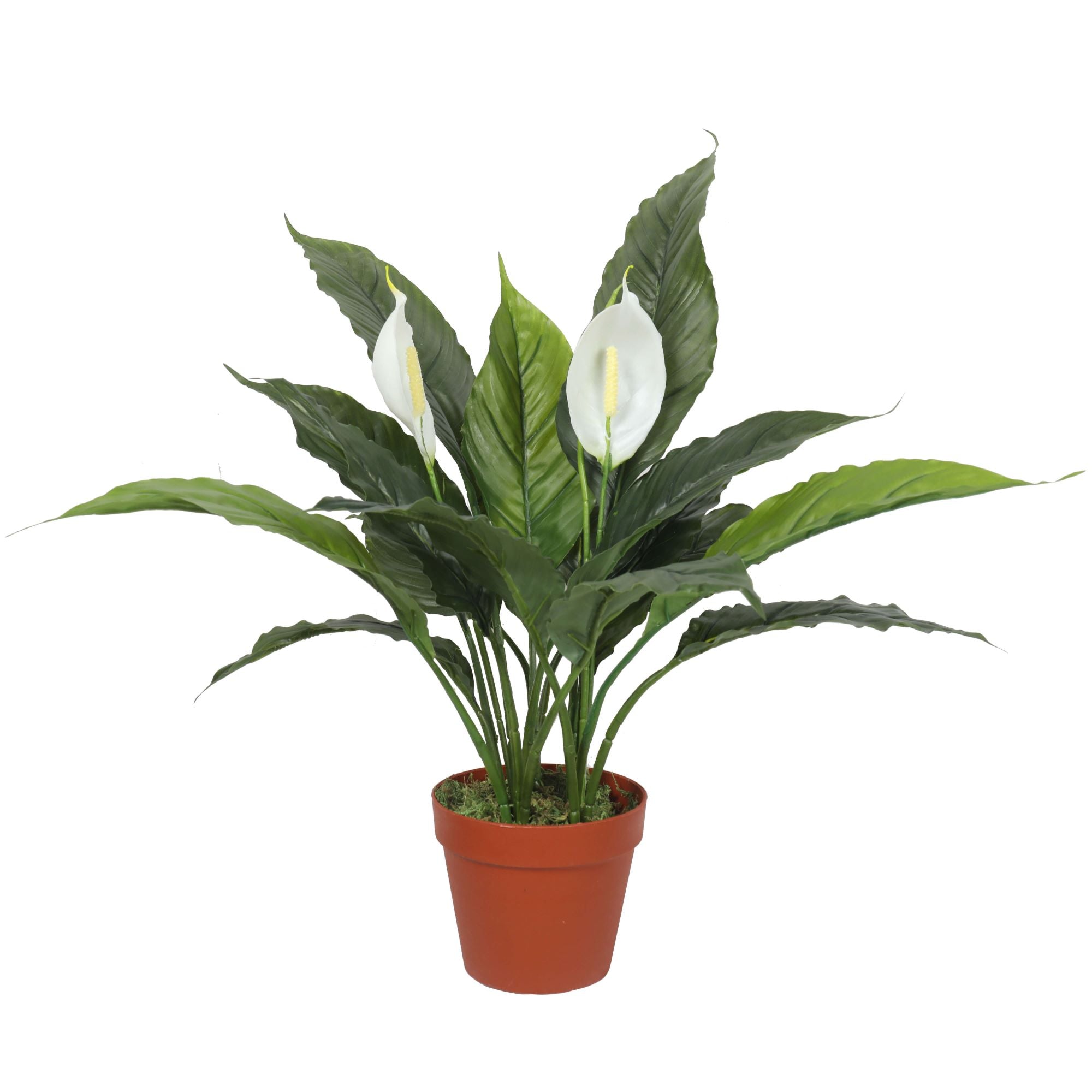 Artificial Spathiphyllum Peace Lily Plant with White Flowers 60cm - VogueDecor.au