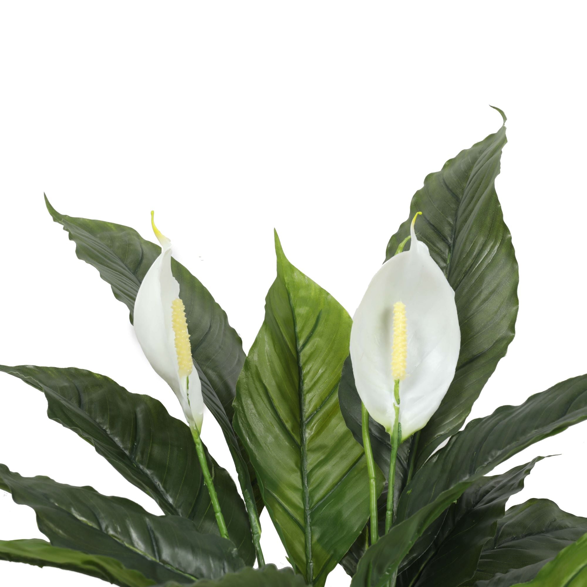 Artificial Spathiphyllum Peace Lily Plant with White Flowers 60cm - VogueDecor.au