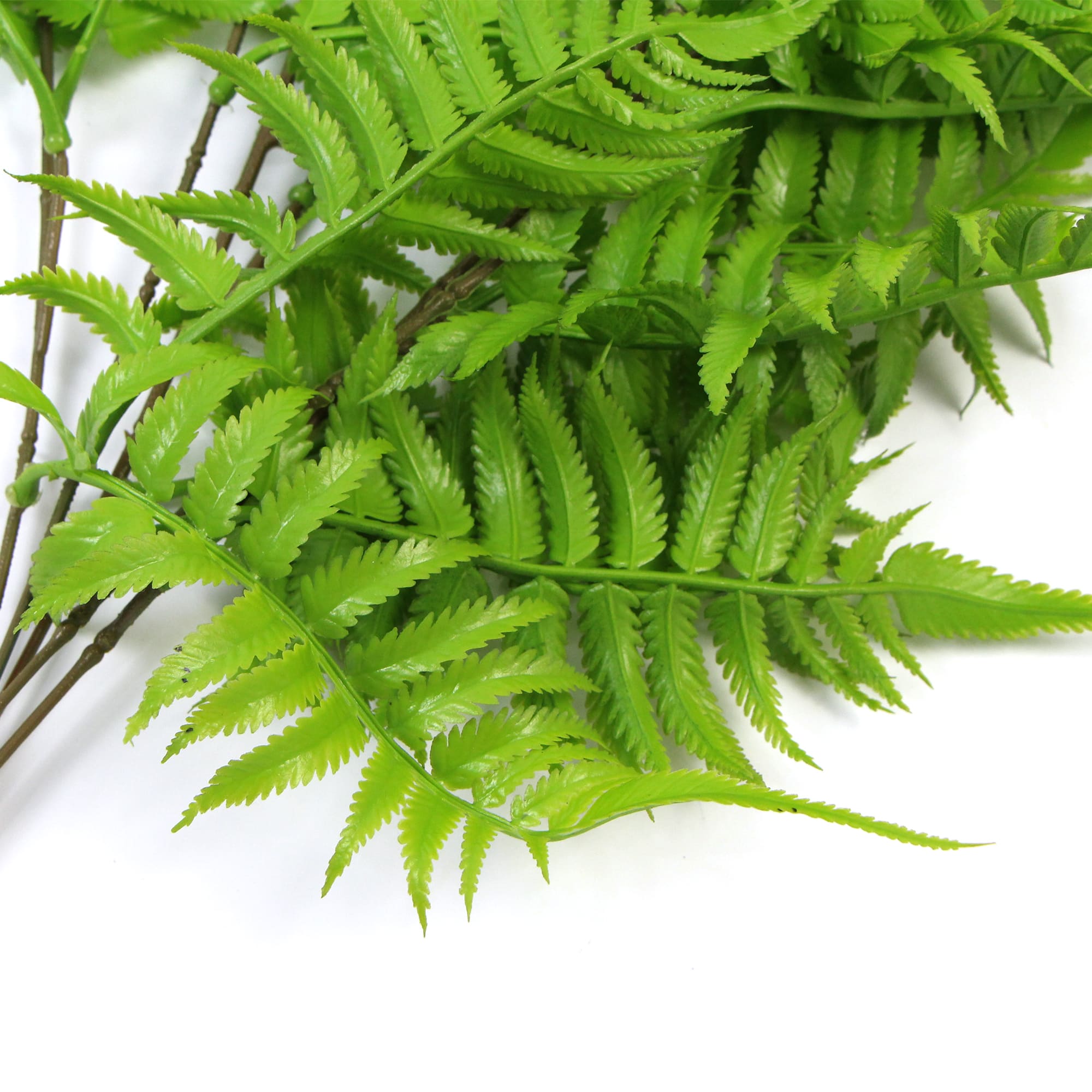Artificial Hanging English Fern (Two-Tone) Foliage UV Resistant 80cm - VogueDecor.au