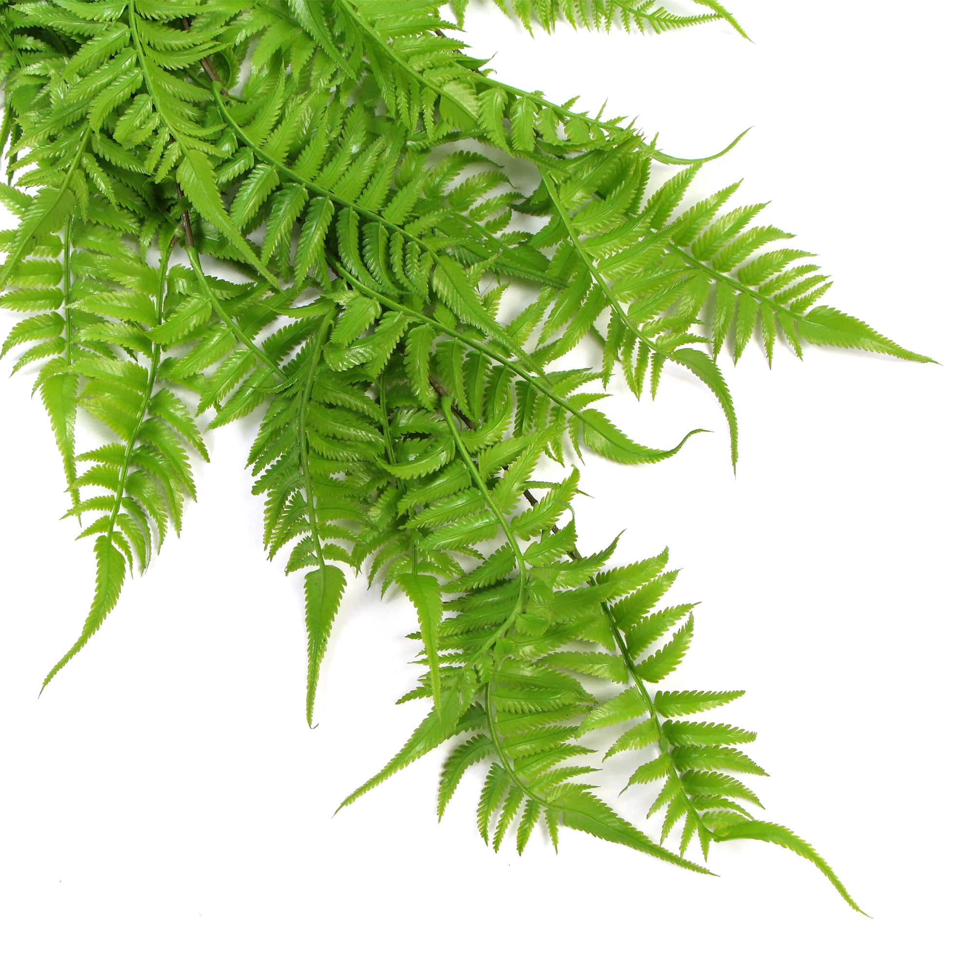 Artificial Hanging English Fern (Two-Tone) Foliage UV Resistant 80cm - VogueDecor.au