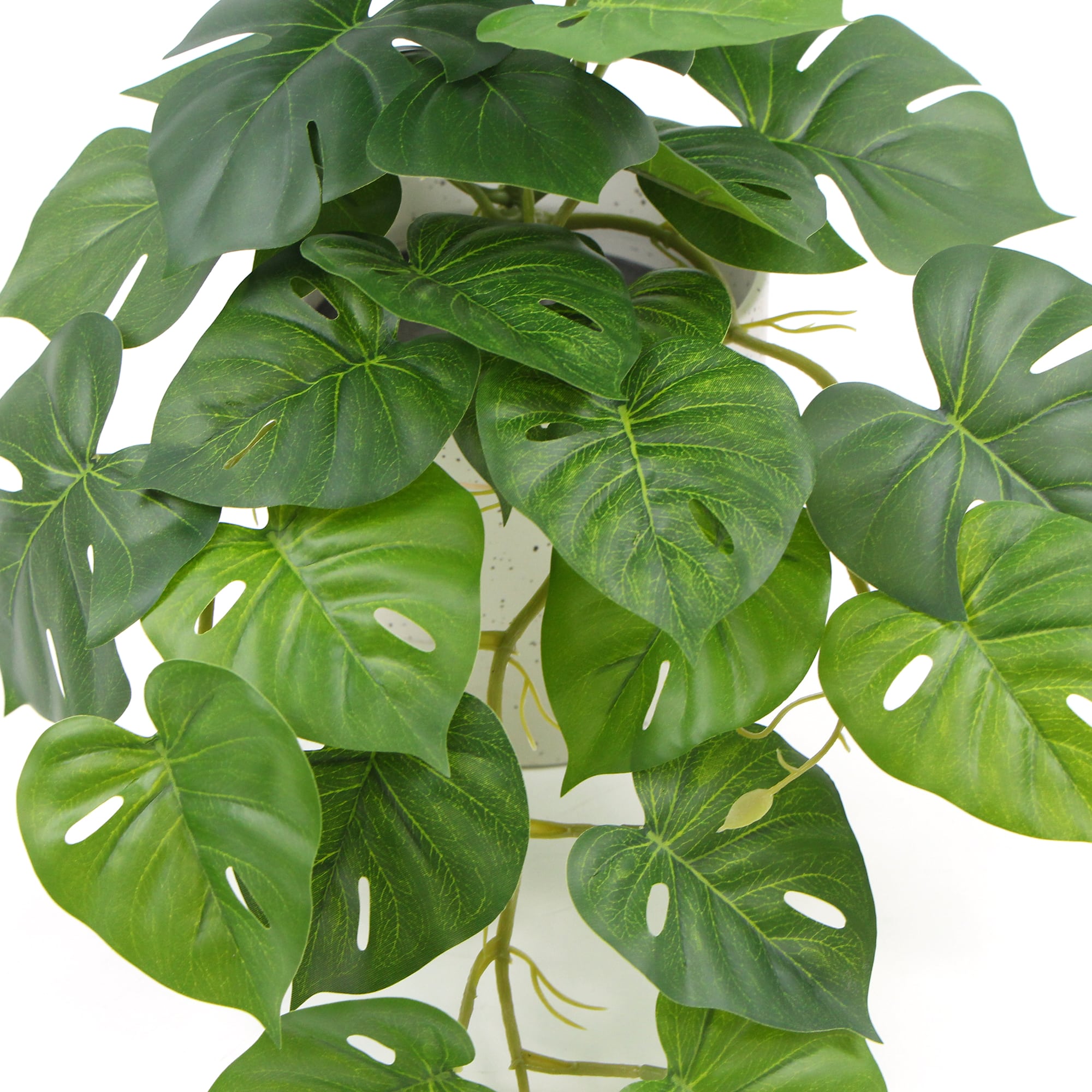 Decorative Ceramic Bowl Potted Artificial Monstera Plant 30cm - VogueDecor.au