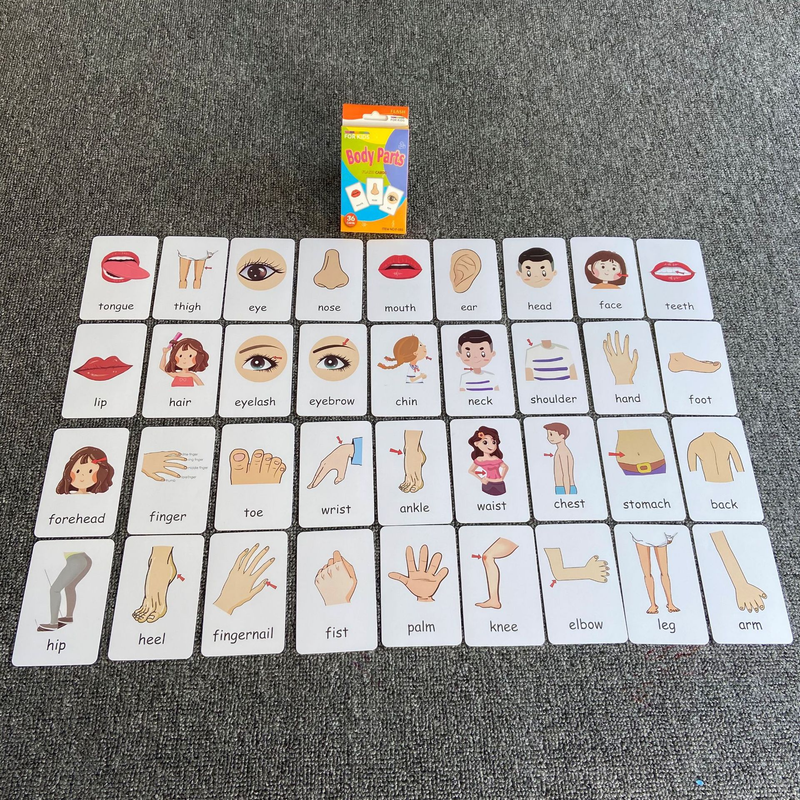 4-Set  Kids Early Education Flash Cards, Montessori Cognitive Development Toys for Toddlers Ages 4+, Educational Gift for Boys Girls【Vegetables+Fruits+Colour+Body Parts】