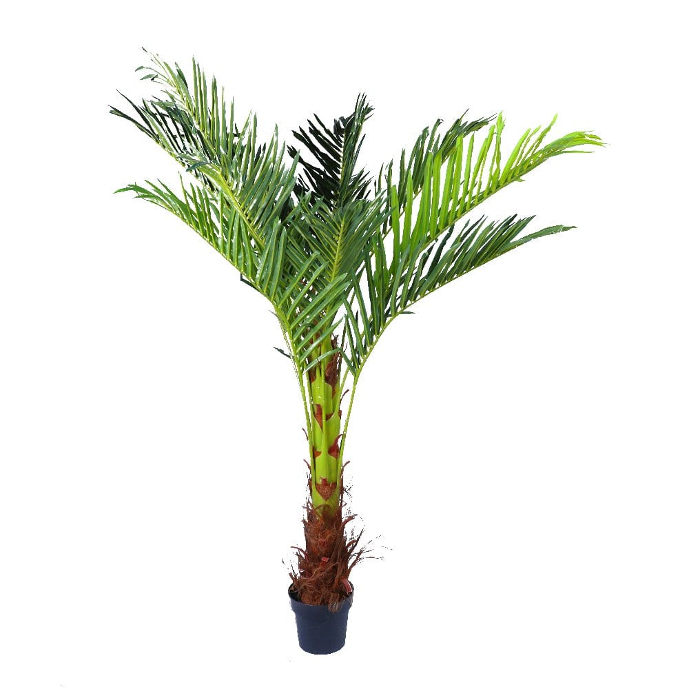 180cm Phoenix Palm - Artificial Plant, Home Decor Flora - VogueDecor.au