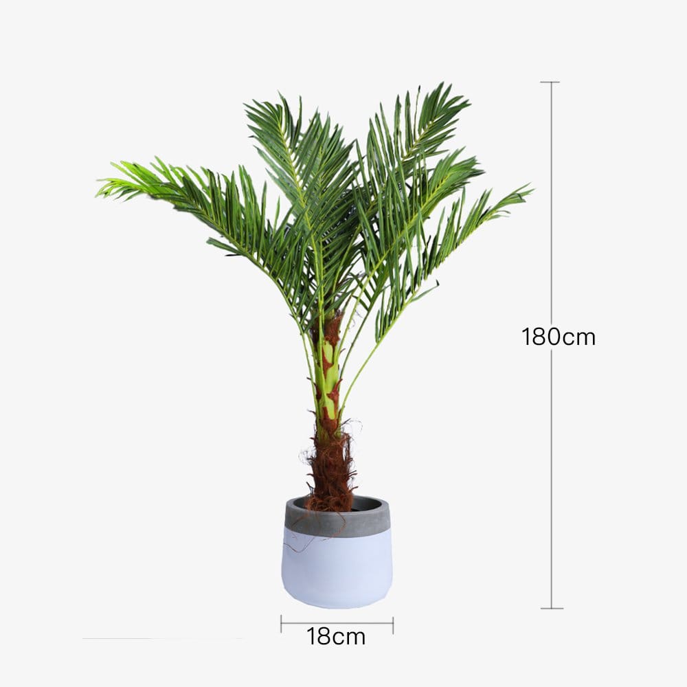 180cm Phoenix Palm - Artificial Plant, Home Decor Flora - VogueDecor.au